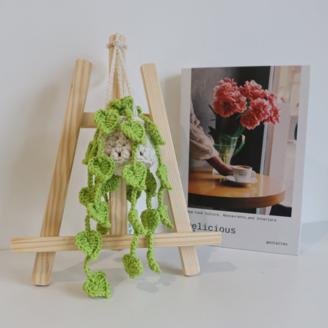 Hanging Plant - Crochet Pattern